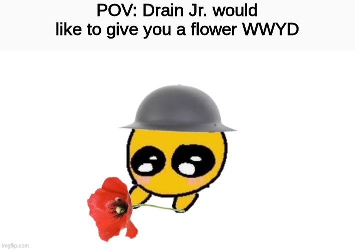 WWYD | POV: Drain Jr. would like to give you a flower WWYD | image tagged in roleplaying | made w/ Imgflip meme maker