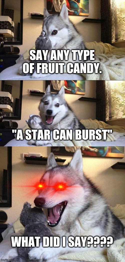 You said Starburst (FUNNY) | SAY ANY TYPE OF FRUIT CANDY. "A STAR CAN BURST"; WHAT DID I SAY???? | image tagged in memes,bad pun dog,candy | made w/ Imgflip meme maker