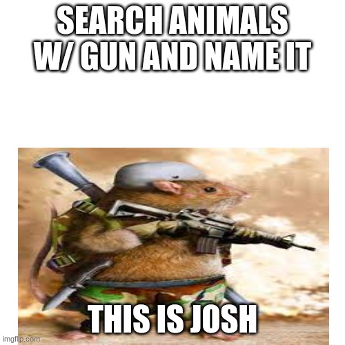 this is strait fun | SEARCH ANIMALS W/ GUN AND NAME IT; THIS IS JOSH | image tagged in blank white template | made w/ Imgflip meme maker