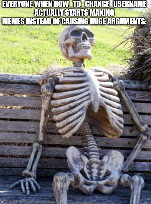 Seriously tho | EVERYONE WHEN HOW_TO_CHANGE_USERNAME ACTUALLY STARTS MAKING MEMES INSTEAD OF CAUSING HUGE ARGUMENTS: | image tagged in memes,waiting skeleton | made w/ Imgflip meme maker