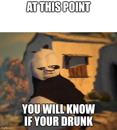 dizzy kun-fu panda |  AT THIS POINT; YOU WILL KNOW IF YOUR DRUNK | image tagged in drunk kung fu panda | made w/ Imgflip meme maker