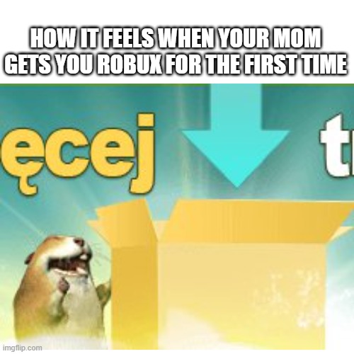 UNLIMITED BOBUX | HOW IT FEELS WHEN YOUR MOM GETS YOU ROBUX FOR THE FIRST TIME | image tagged in chomik,hamster,too funny | made w/ Imgflip meme maker