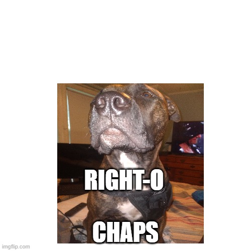 Right-O | RIGHT-O; CHAPS | image tagged in right | made w/ Imgflip meme maker