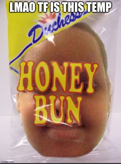 i thought it was a actual honey bun bruh-- | LMAO TF IS THIS TEMP | image tagged in honey bun | made w/ Imgflip meme maker