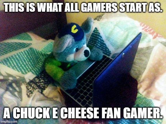 chuck e laptop | THIS IS WHAT ALL GAMERS START AS. A CHUCK E CHEESE FAN GAMER. | image tagged in chuck e laptop | made w/ Imgflip meme maker
