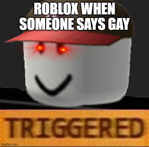 Roblox Triggered | ROBLOX WHEN SOMEONE SAYS GAY | image tagged in roblox triggered | made w/ Imgflip meme maker