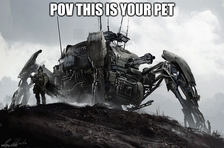 pet |  POV THIS IS YOUR PET | image tagged in rp,spider,meme,roleplay | made w/ Imgflip meme maker