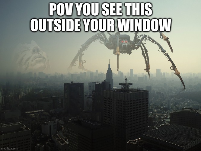 spider outside |  POV YOU SEE THIS OUTSIDE YOUR WINDOW | image tagged in spider,rp,meme,roleplay | made w/ Imgflip meme maker