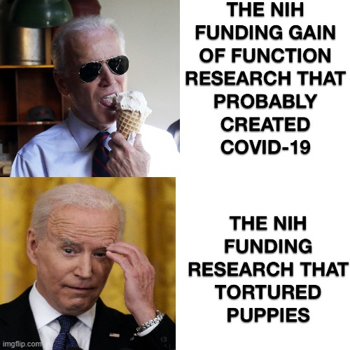 5 million died, Wuhan Lab may have done this! Puppies Tortured! | image tagged in joe biden,liberals | made w/ Imgflip meme maker