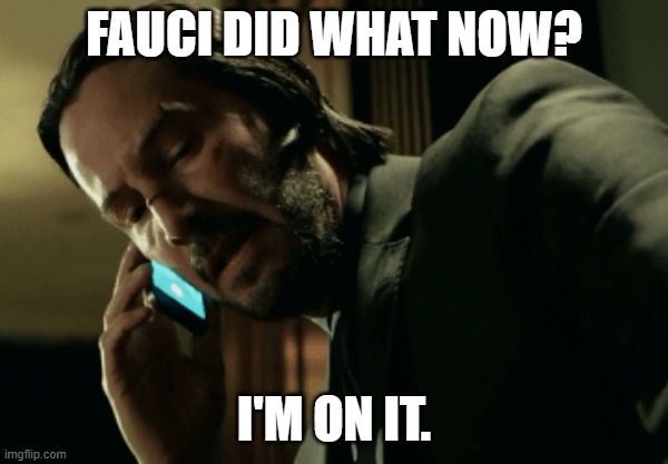 John Wick calling | FAUCI DID WHAT NOW? I'M ON IT. | image tagged in john wick calling | made w/ Imgflip meme maker