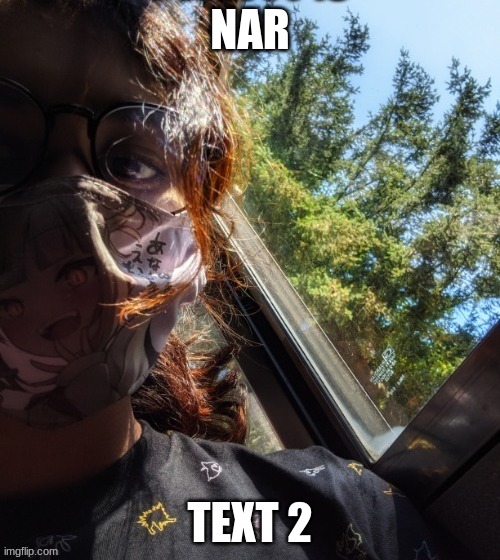 NAR; TEXT 2 | made w/ Imgflip meme maker