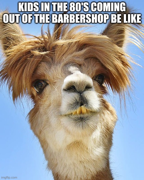 haircut time | KIDS IN THE 80'S COMING OUT OF THE BARBERSHOP BE LIKE | image tagged in haircut | made w/ Imgflip meme maker