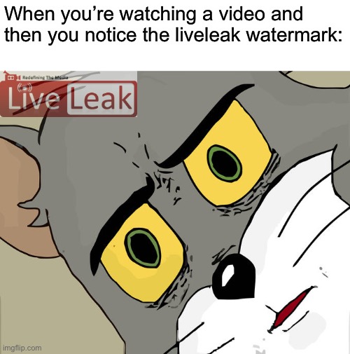 Unsettled Tom Meme | When you’re watching a video and then you notice the liveleak watermark: | image tagged in memes,unsettled tom,watermark,funny memes | made w/ Imgflip meme maker