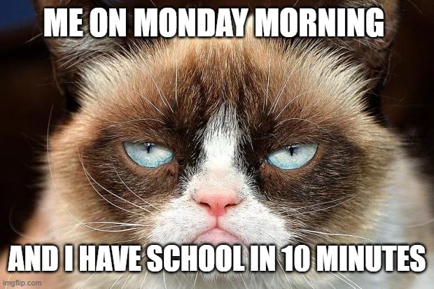 Mondays am I right | ME ON MONDAY MORNING; AND I HAVE SCHOOL IN 10 MINUTES | image tagged in memes,grumpy cat | made w/ Imgflip meme maker
