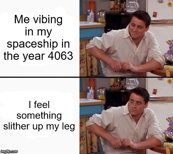 POV: You're about to die | Me vibing in my spaceship in the year 4063; I feel something slither up my leg | image tagged in comprehending joey,snail | made w/ Imgflip meme maker