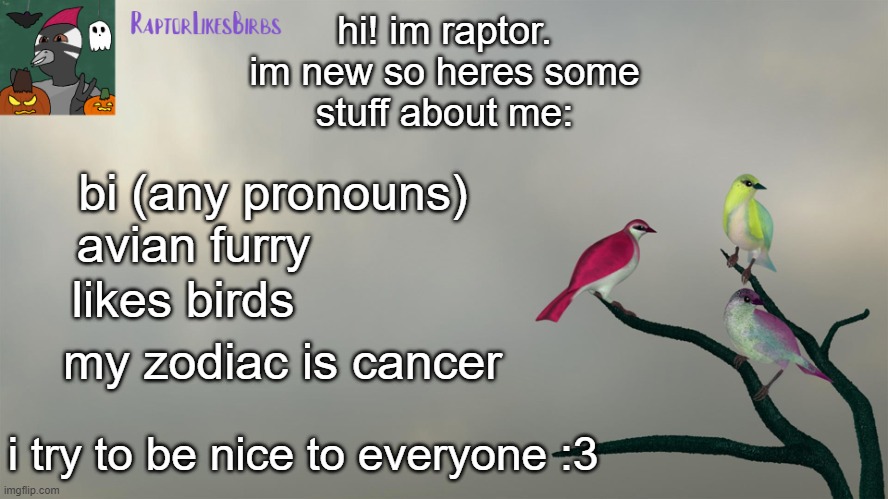 ello! | hi! im raptor.
im new so heres some
stuff about me:; bi (any pronouns); avian furry; likes birds; my zodiac is cancer; i try to be nice to everyone :3 | image tagged in raptor's template,birds | made w/ Imgflip meme maker