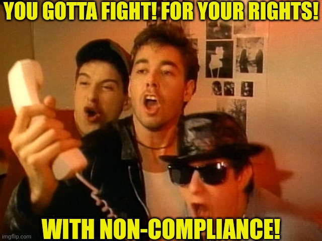 Beastie Boys | YOU GOTTA FIGHT! FOR YOUR RIGHTS! WITH NON-COMPLIANCE! | image tagged in beastie boys | made w/ Imgflip meme maker