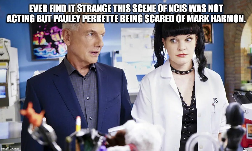 NCIS strange scene of not acting | EVER FIND IT STRANGE THIS SCENE OF NCIS WAS NOT ACTING BUT PAULEY PERRETTE BEING SCARED OF MARK HARMON. | image tagged in cbs,crime | made w/ Imgflip meme maker