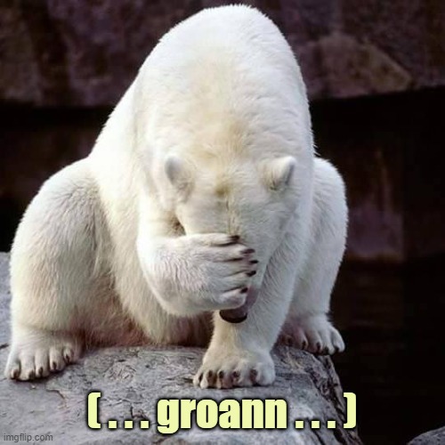 ( . . . groann . . . ) | made w/ Imgflip meme maker