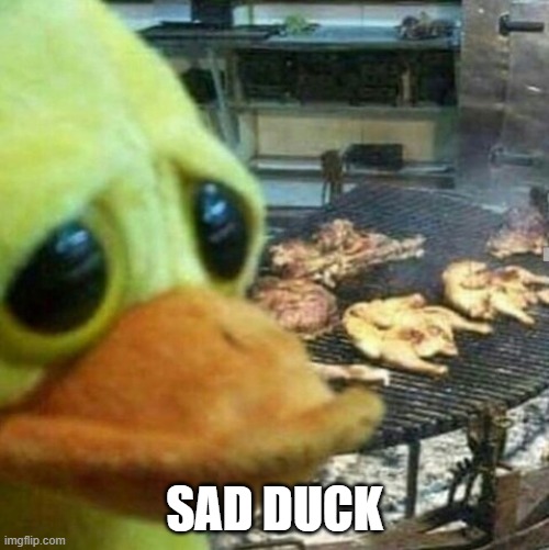 yo pet duck saw everything | SAD DUCK | image tagged in duck | made w/ Imgflip meme maker