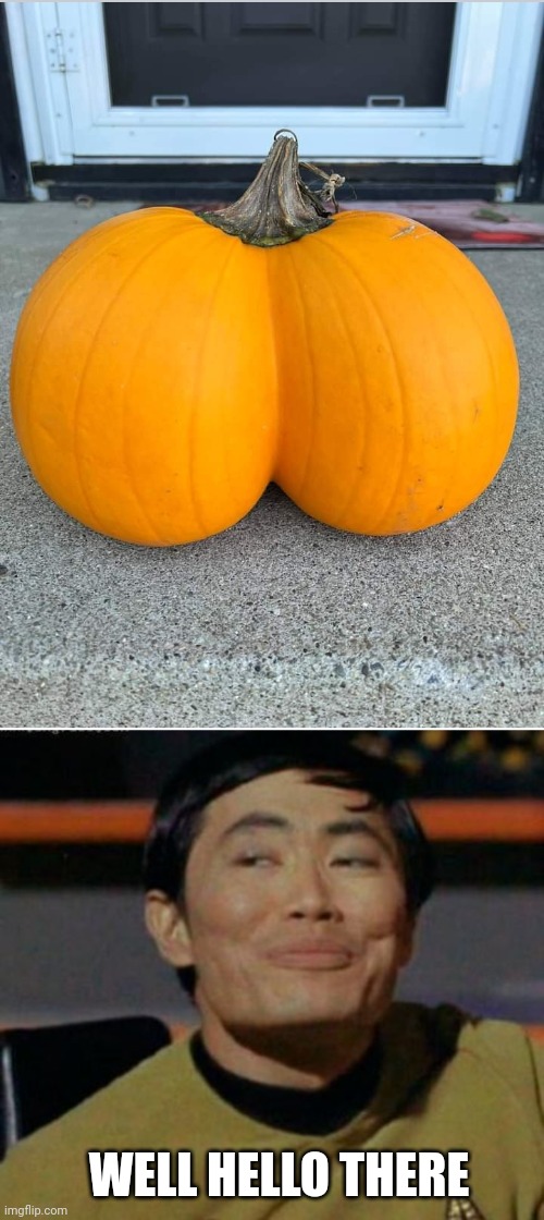 OH MY THAT PUMPKIN |  WELL HELLO THERE | image tagged in sulu,oh my,pumpkin,booty | made w/ Imgflip meme maker