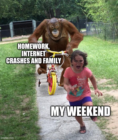 Orangutan chasing girl on a tricycle | HOMEWORK, INTERNET CRASHES AND FAMILY; MY WEEKEND | image tagged in orangutan chasing girl on a tricycle | made w/ Imgflip meme maker