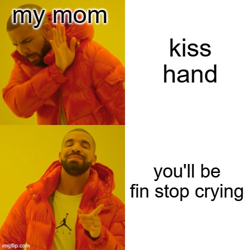 *fine | my mom kiss hand you'll be fin stop crying | image tagged in memes,drake hotline bling | made w/ Imgflip meme maker