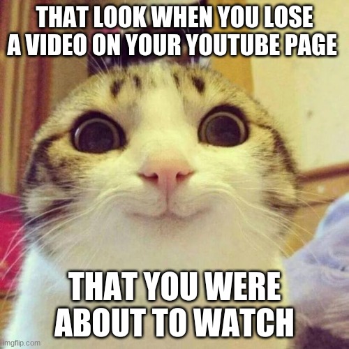 Smiling Cat Meme | THAT LOOK WHEN YOU LOSE A VIDEO ON YOUR YOUTUBE PAGE; THAT YOU WERE ABOUT TO WATCH | image tagged in memes,smiling cat | made w/ Imgflip meme maker