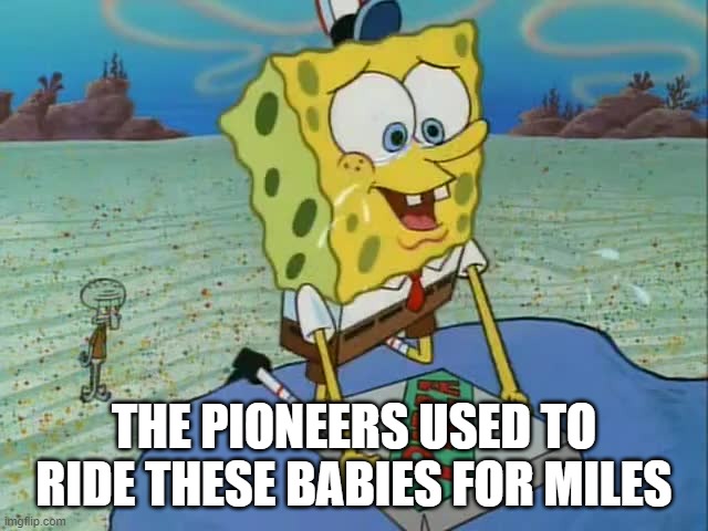 the pioneers use to ride these babies for miles | THE PIONEERS USED TO RIDE THESE BABIES FOR MILES | image tagged in the pioneers use to ride these babies for miles | made w/ Imgflip meme maker