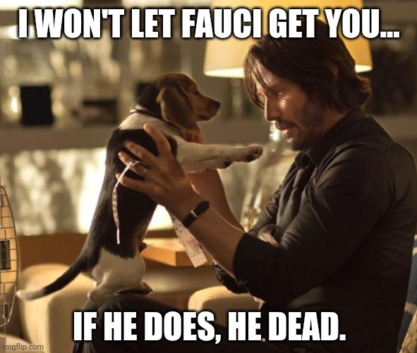 We could use John Wick right now. | I WON'T LET FAUCI GET YOU... IF HE DOES, HE DEAD. | image tagged in memes | made w/ Imgflip meme maker