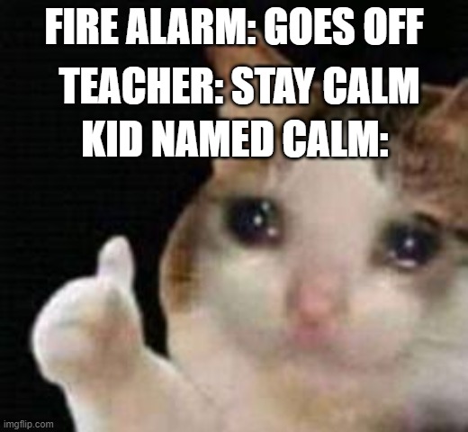 Approved crying cat | TEACHER: STAY CALM; FIRE ALARM: GOES OFF; KID NAMED CALM: | image tagged in approved crying cat | made w/ Imgflip meme maker