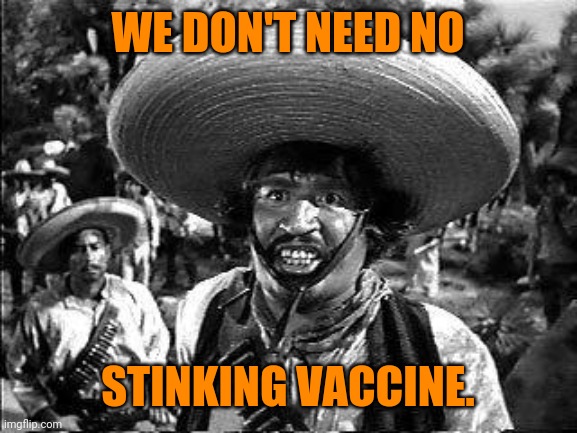 I'm sick with covid right now and chicken noodle soup along with rest works just fine. | WE DON'T NEED NO; STINKING VACCINE. | image tagged in memes | made w/ Imgflip meme maker