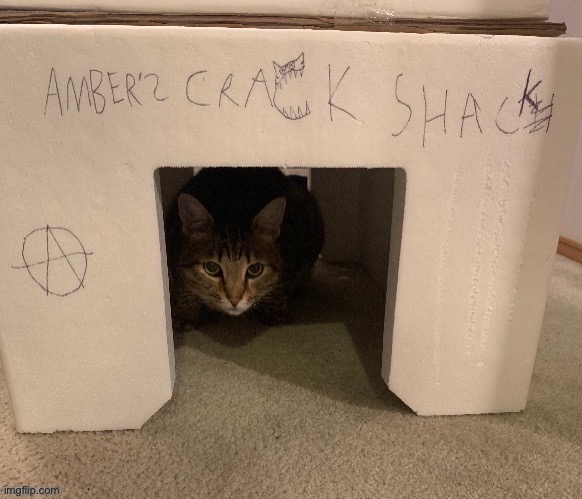 COME ON DOWN AND BUY SOME CRACK, OR WE’RE GONNA BREAK YOUR GRANDMA’S BACK | image tagged in ambers crack shack | made w/ Imgflip meme maker