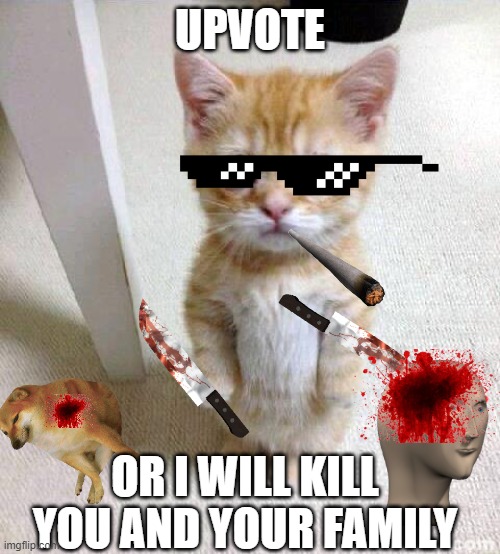 Cute Cat | UPVOTE; OR I WILL KILL YOU AND YOUR FAMILY | image tagged in memes,cute cat | made w/ Imgflip meme maker