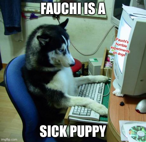 I Have No Idea What I Am Doing | FAUCHI IS A; Fauchi’s horrible experiments on dogs; SICK PUPPY | image tagged in memes,i have no idea what i am doing | made w/ Imgflip meme maker