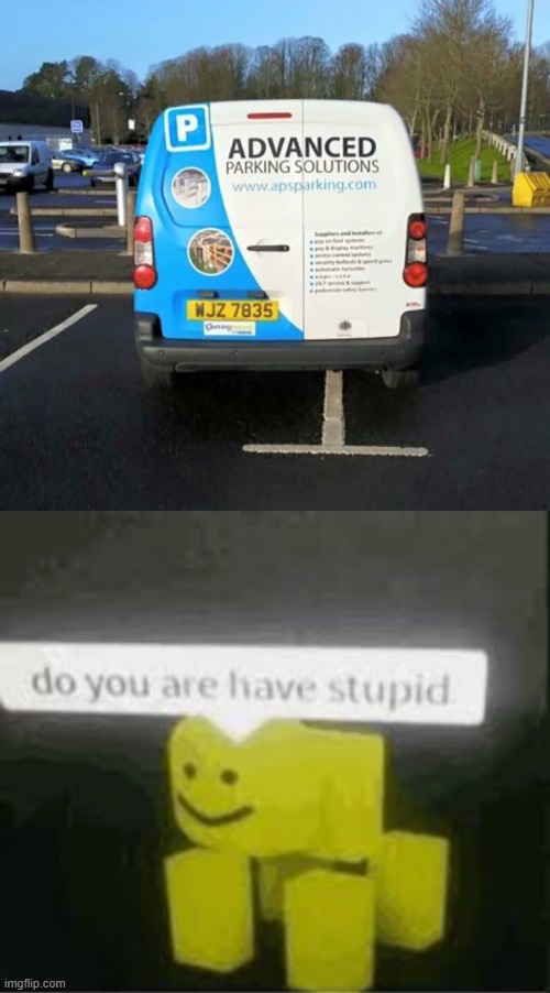 not only are you wrong, you are stupid | image tagged in do you are have stupid,you had one job,parking,ironic | made w/ Imgflip meme maker