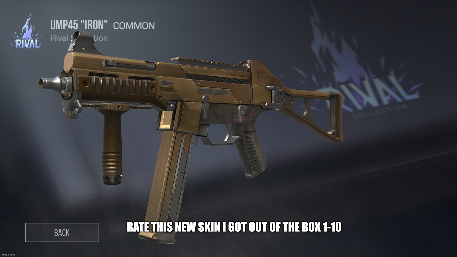 RATE THIS NEW SKIN I GOT OUT OF THE BOX 1-10 | made w/ Imgflip meme maker