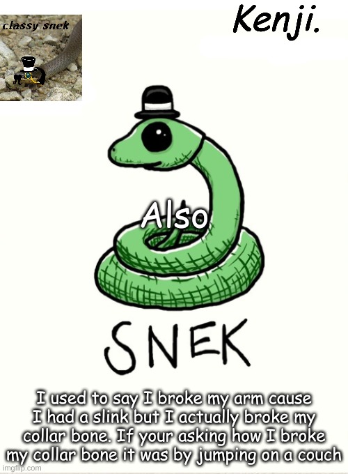 snek | Also; I used to say I broke my arm cause I had a slink but I actually broke my collar bone. If your asking how I broke my collar bone it was by jumping on a couch | image tagged in snek | made w/ Imgflip meme maker