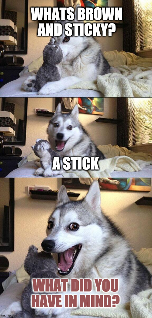 BAD JOKE | WHATS BROWN AND STICKY? A STICK; WHAT DID YOU HAVE IN MIND? | image tagged in memes,bad pun dog | made w/ Imgflip meme maker