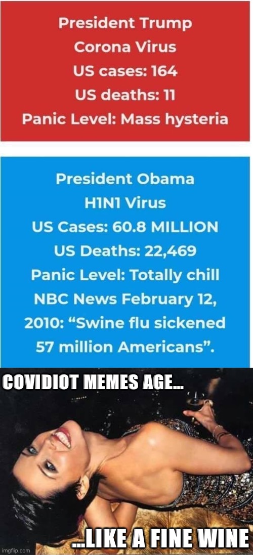 I wish my fellow Americans weren’t so dumb: but since they are, it’s our duty to mock them • | COVIDIOT MEMES AGE…; …LIKE A FINE WINE | image tagged in trump vs obama coronavirus vs swine flu,dannii wine,covidiots,covid-19,covid,conservative logic | made w/ Imgflip meme maker