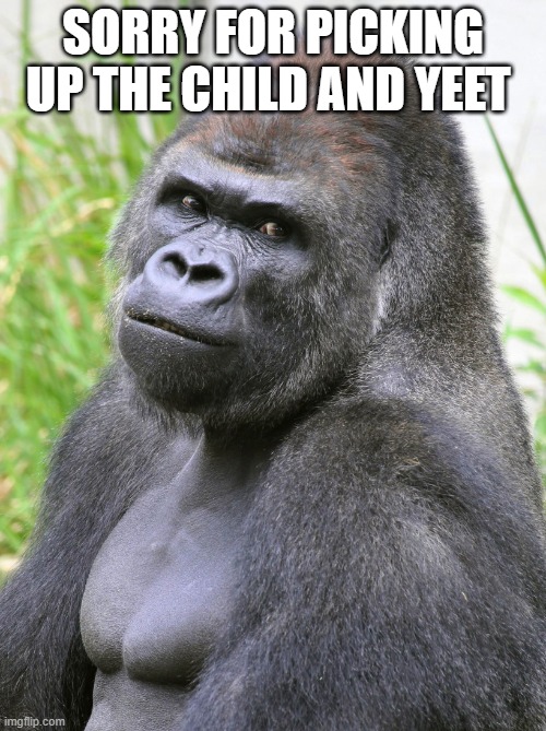 monke | SORRY FOR PICKING UP THE CHILD AND YEET | image tagged in memes | made w/ Imgflip meme maker
