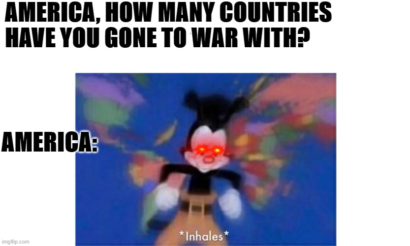 Seriously tho. | AMERICA, HOW MANY COUNTRIES HAVE YOU GONE TO WAR WITH? AMERICA: | image tagged in world occupied | made w/ Imgflip meme maker