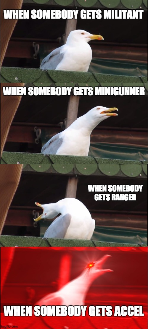 Inhaling Seagull | WHEN SOMEBODY GETS MILITANT; WHEN SOMEBODY GETS MINIGUNNER; WHEN SOMEBODY GETS RANGER; WHEN SOMEBODY GETS ACCEL | image tagged in memes,inhaling seagull | made w/ Imgflip meme maker