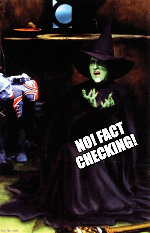 Wicked witch melting | NO! FACT CHECKING! | image tagged in wicked witch melting | made w/ Imgflip meme maker