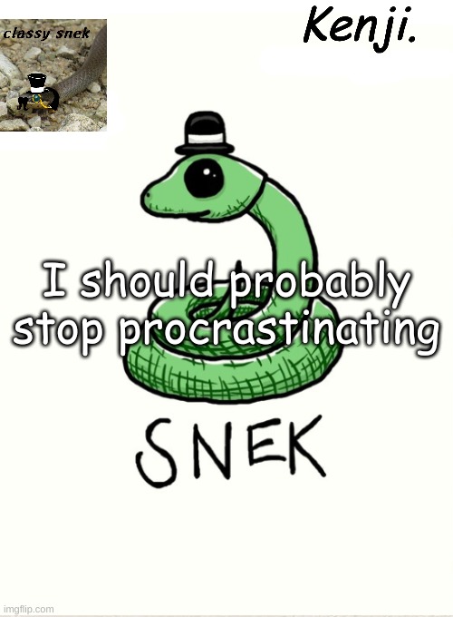 snek | I should probably stop procrastinating | image tagged in snek | made w/ Imgflip meme maker