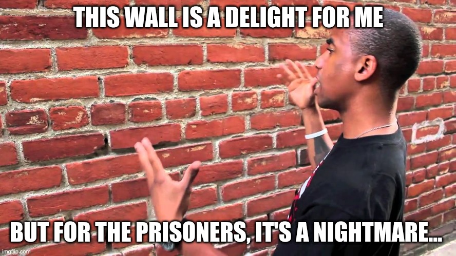 Prison Wall | THIS WALL IS A DELIGHT FOR ME; BUT FOR THE PRISONERS, IT'S A NIGHTMARE... | image tagged in talking to wall | made w/ Imgflip meme maker