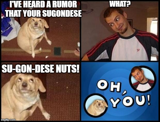 Lol | I'VE HEARD A RUMOR THAT YOUR SUGONDESE; WHAT? SU-GON-DESE NUTS! | image tagged in oh you | made w/ Imgflip meme maker
