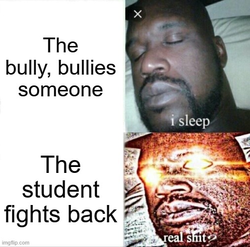 Sleeping Shaq Meme | The bully, bullies someone; The student fights back | image tagged in memes,sleeping shaq | made w/ Imgflip meme maker