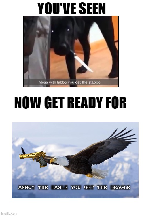 i ran out of ideas (is this a repost?) | YOU'VE SEEN; NOW GET READY FOR; ANNOY THE EAGLE YOU GET THE DEAGLE | image tagged in blank white template | made w/ Imgflip meme maker