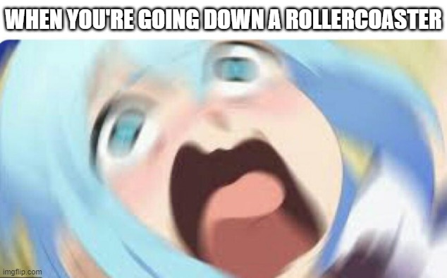 How it feels going down a rollercoaster | WHEN YOU'RE GOING DOWN A ROLLERCOASTER | image tagged in aqua screaming,rollercoaster | made w/ Imgflip meme maker